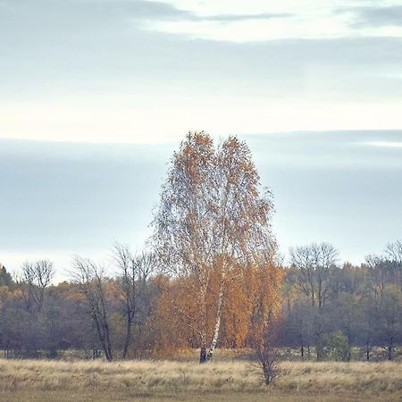 Вилла Marchewkowy Семяны Экстерьер фото